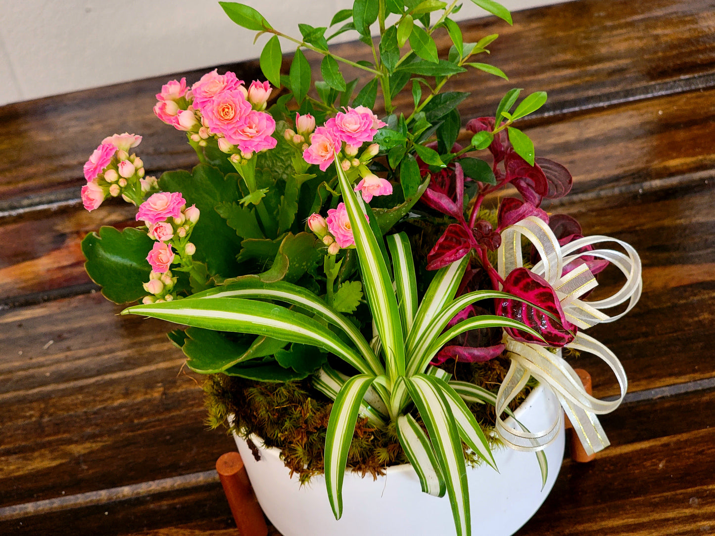 Geo Plant Garden