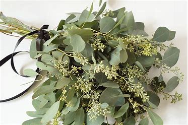 Seeded Eucalyptus Bundle