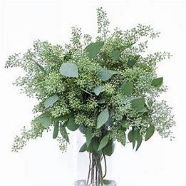 Seeded Eucalyptus Bundle