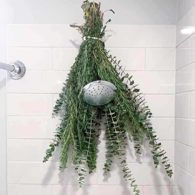 Fresh Eucalyptus Shower Hanger