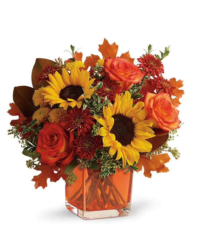 Cube Harvest Arrangement