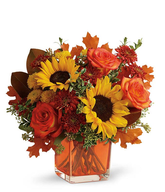 Cube Harvest Arrangement