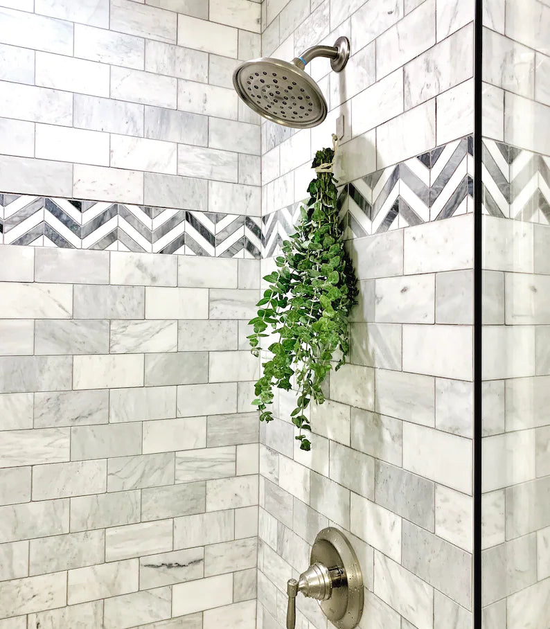 Fresh Eucalyptus Shower Hanger