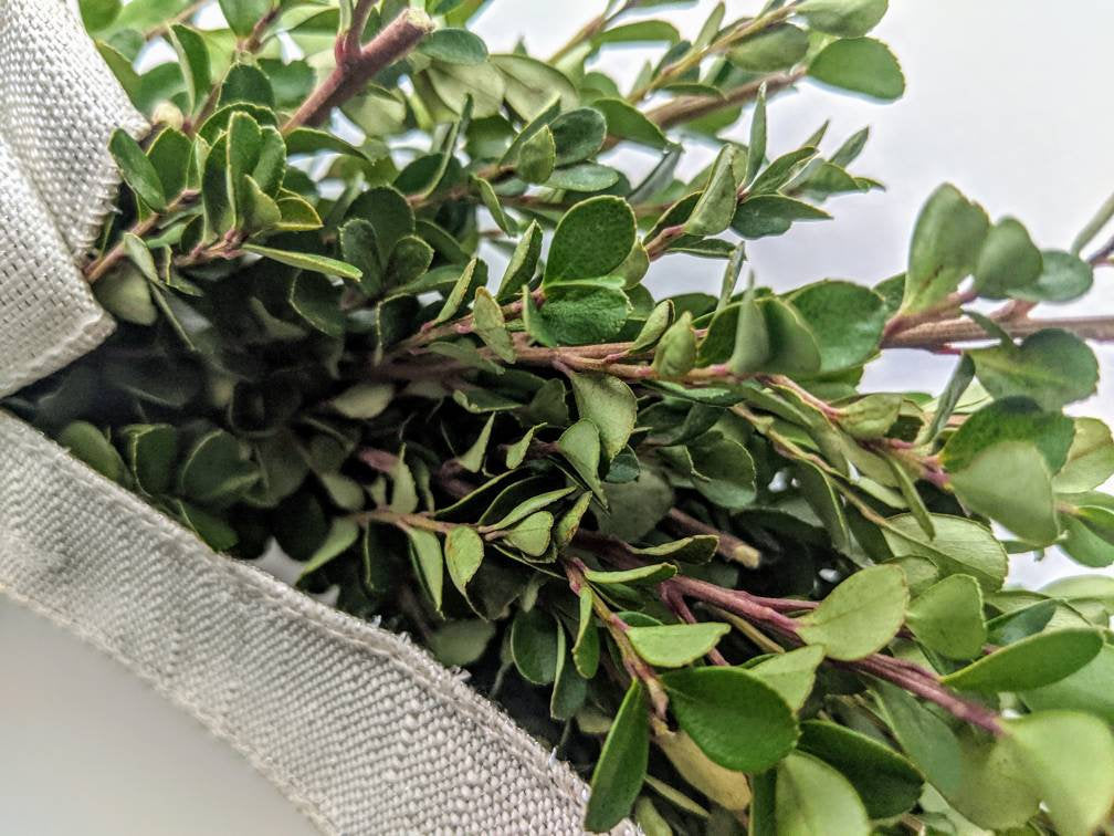 Fresh Boxwood Wreath For Window Or Door With White Bow, Farmhouse Wreath, Rustic Wreath, Green Wreath, Small Mini Wreath, Wedding Wreath