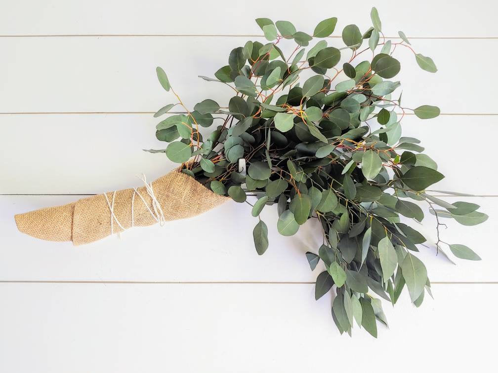 Fresh Silver Dollar  Eucalyptus Bunch, Spiral Eucalyptus, Greenery