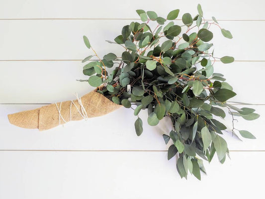 Fresh Silver Dollar  Eucalyptus Bunch, Spiral Eucalyptus, Greenery