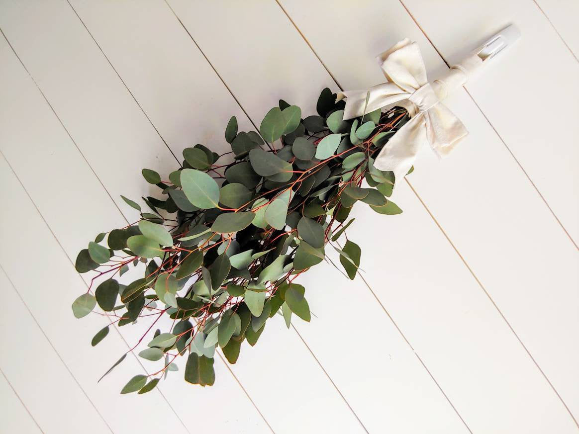 Fresh Eucalyptus Swag Wreath for door, window, or wall, Silver Dollar Eucalyptus, Housewarming Gift