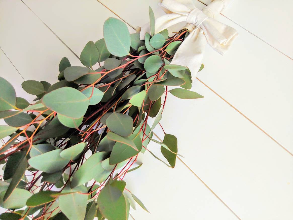 Fresh Eucalyptus Swag Wreath for door, window, or wall, Silver Dollar Eucalyptus, Housewarming Gift