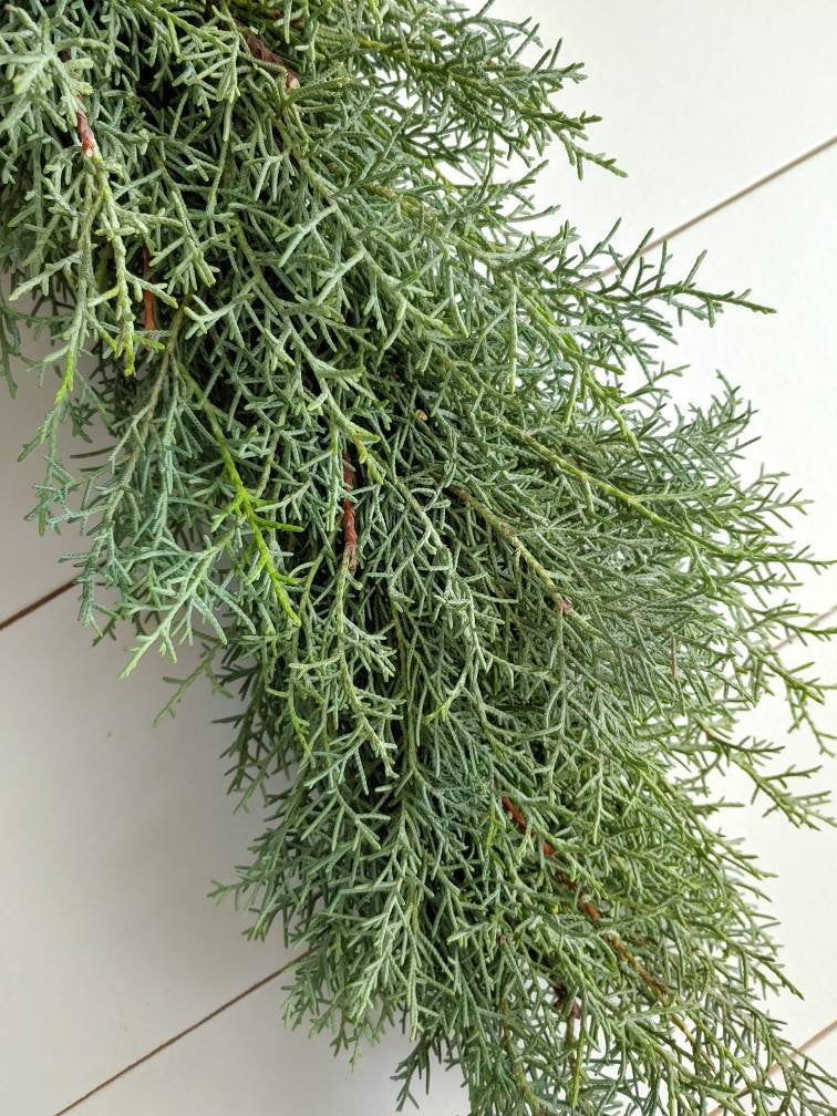 Fresh Cane Evergreen Christmas Wreath