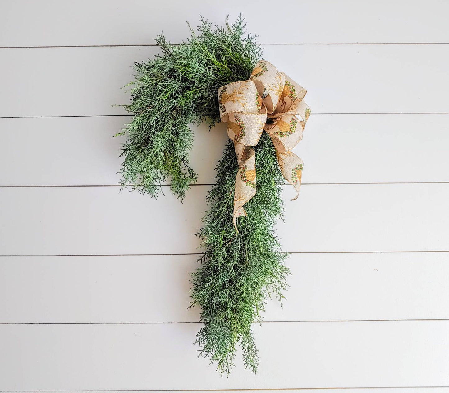Fresh Cane Evergreen Christmas Wreath