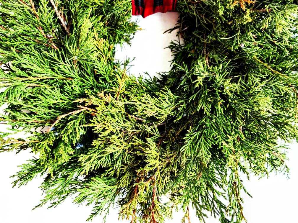 Fresh Christmas Wreath Cedar With Juniper Berries And Red Burlap Buffalo Bow, Live Christmas Wreath, Live Evergreen Christmas Wreath