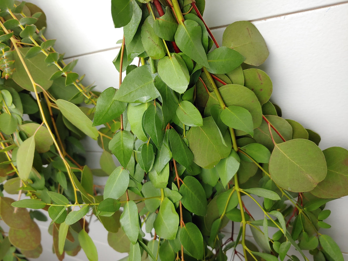 Fresh Eucalyptus Wall Hanging Swag With Dried Roses, Fresh Wreath, Farmhouse Rustic, Wedding Decor, Kitchen Wall Decor, Mothers Day Gift,