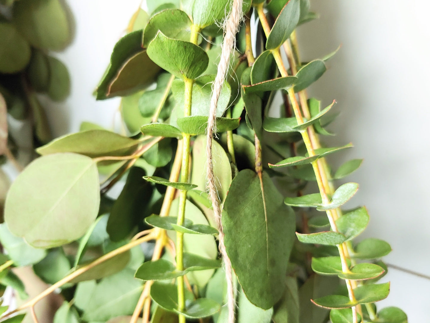 Fresh Eucalyptus Wall Hanging Swag With Dried Roses, Fresh Wreath, Farmhouse Rustic, Wedding Decor, Kitchen Wall Decor, Mothers Day Gift,