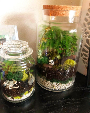 DIY Fall Cemeterrarium Eternal Gardens: Creating a Cemetery Terrarium Class