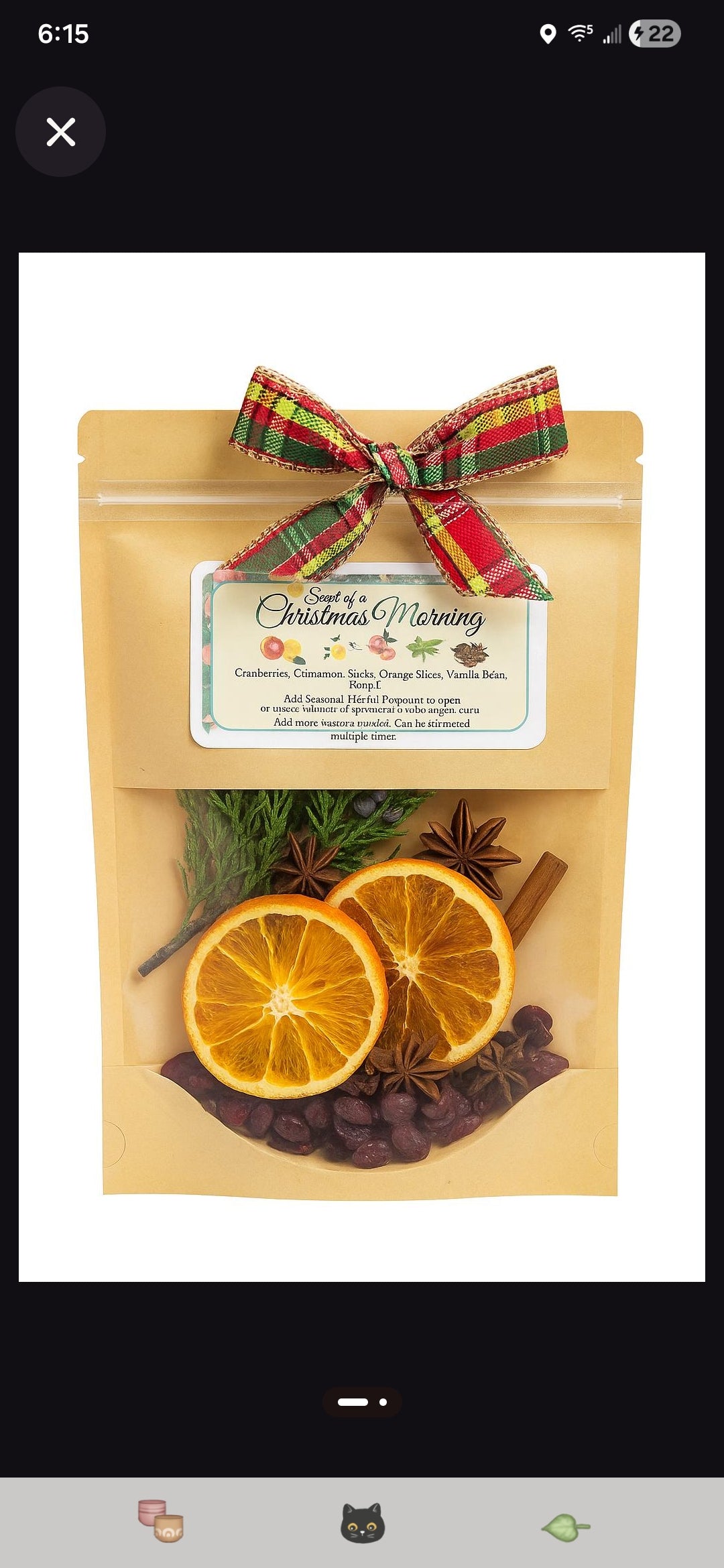 Christmas Morning Simmer Pot