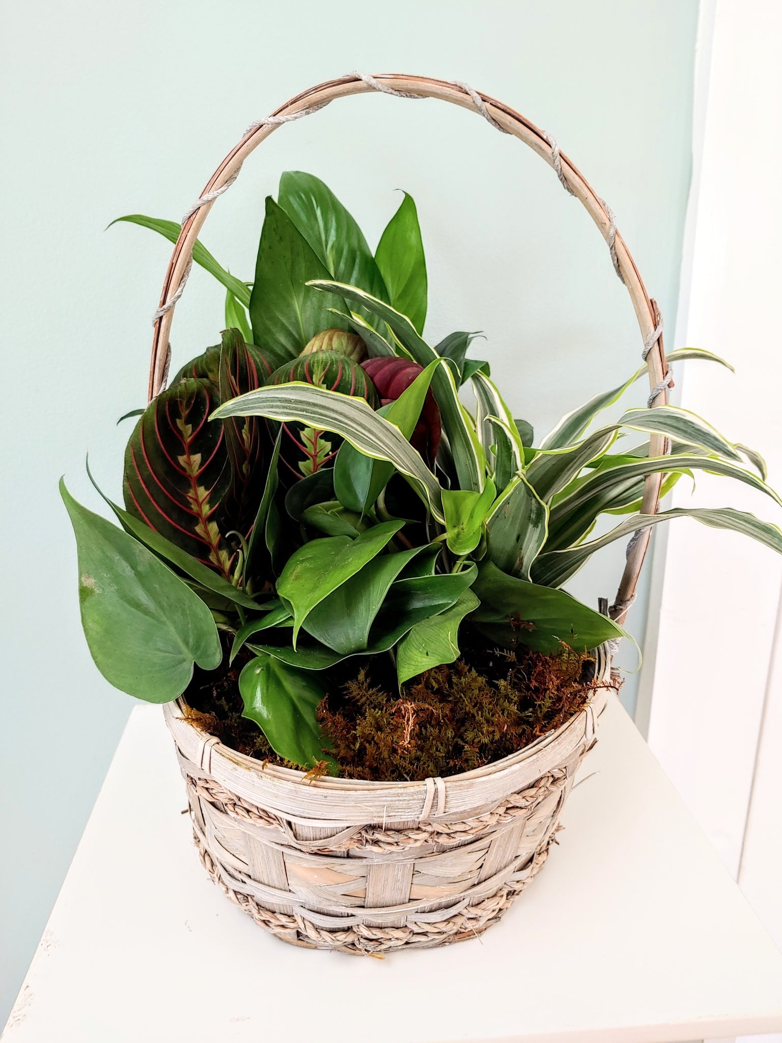 Wicker Garden 8" Plant