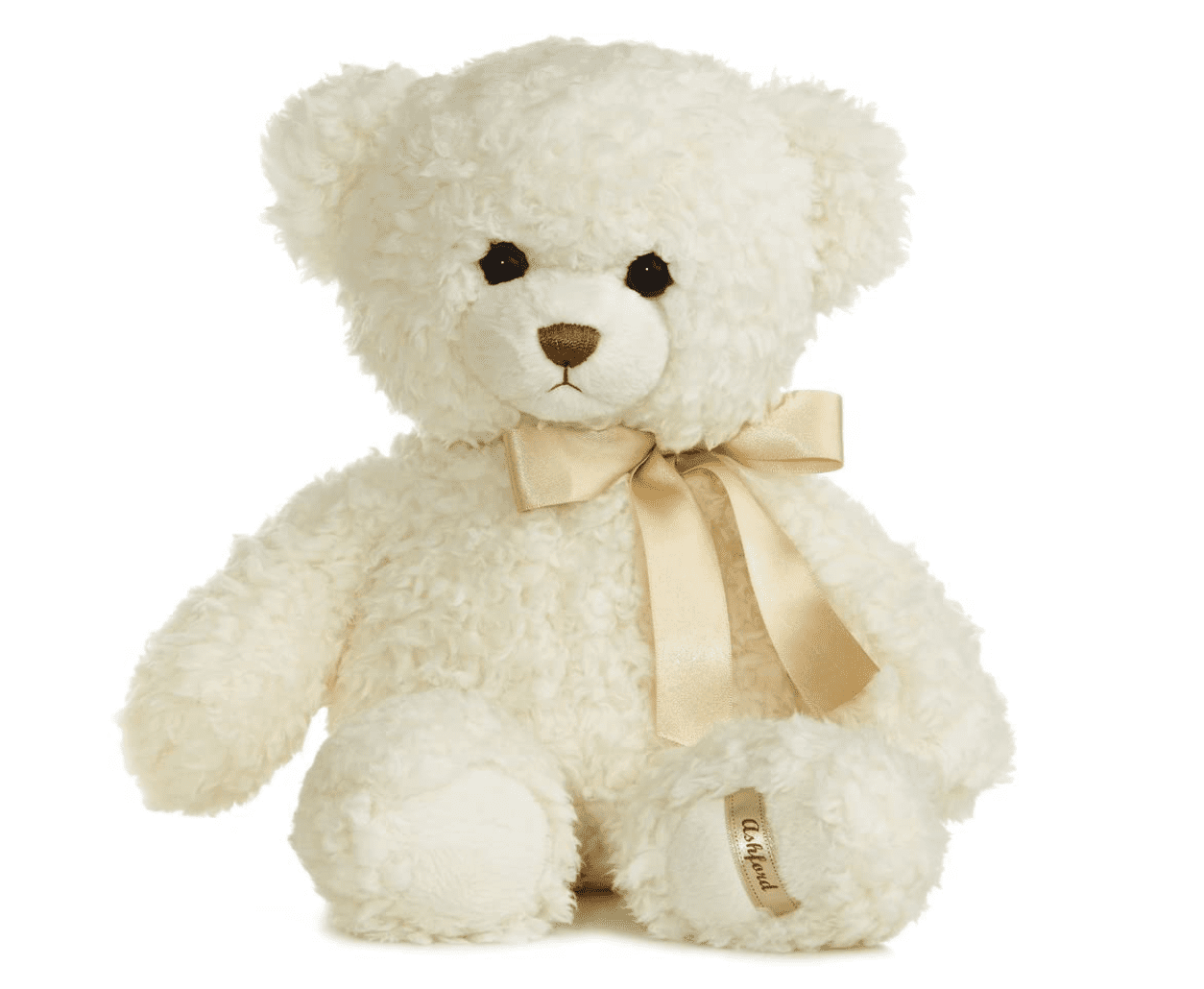 Fuzzy Teddy Bear