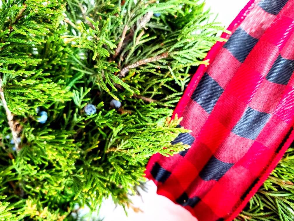 Fresh Christmas Wreath Cedar With Juniper Berries And Red Burlap Buffalo Bow, Live Christmas Wreath, Live Evergreen Christmas Wreath